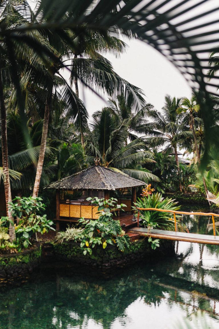 DRF’s Horse Racing Playbook for February 2021