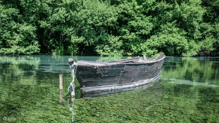 What is Ohirok Vadum? A Deep Dive into the Literary Enigma Ohirok Vadum